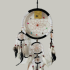 Dream Catcher 1